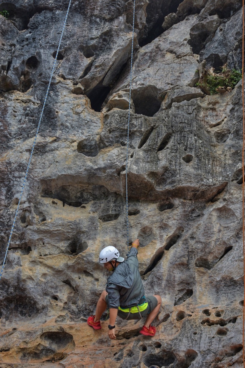 4095BAA9-0404-4C6E-A2F4-4874D12F50B3