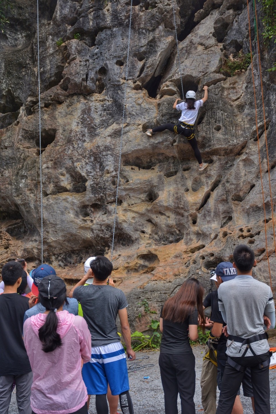 4A4D48D7-A20C-4503-8D2A-7B266D8D19D9