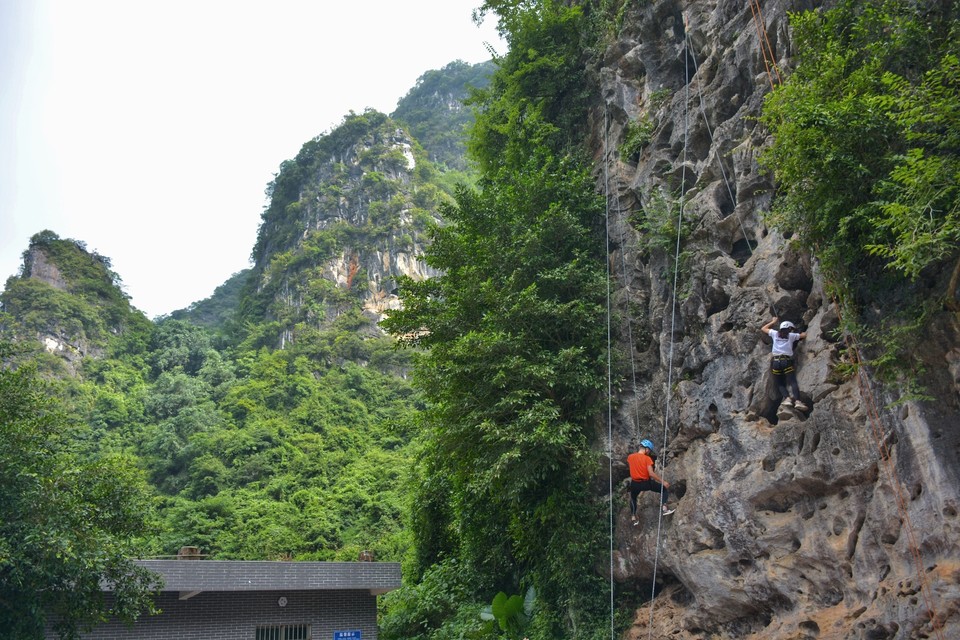 2F71384F-B136-438F-9BED-E9B23194C2B1