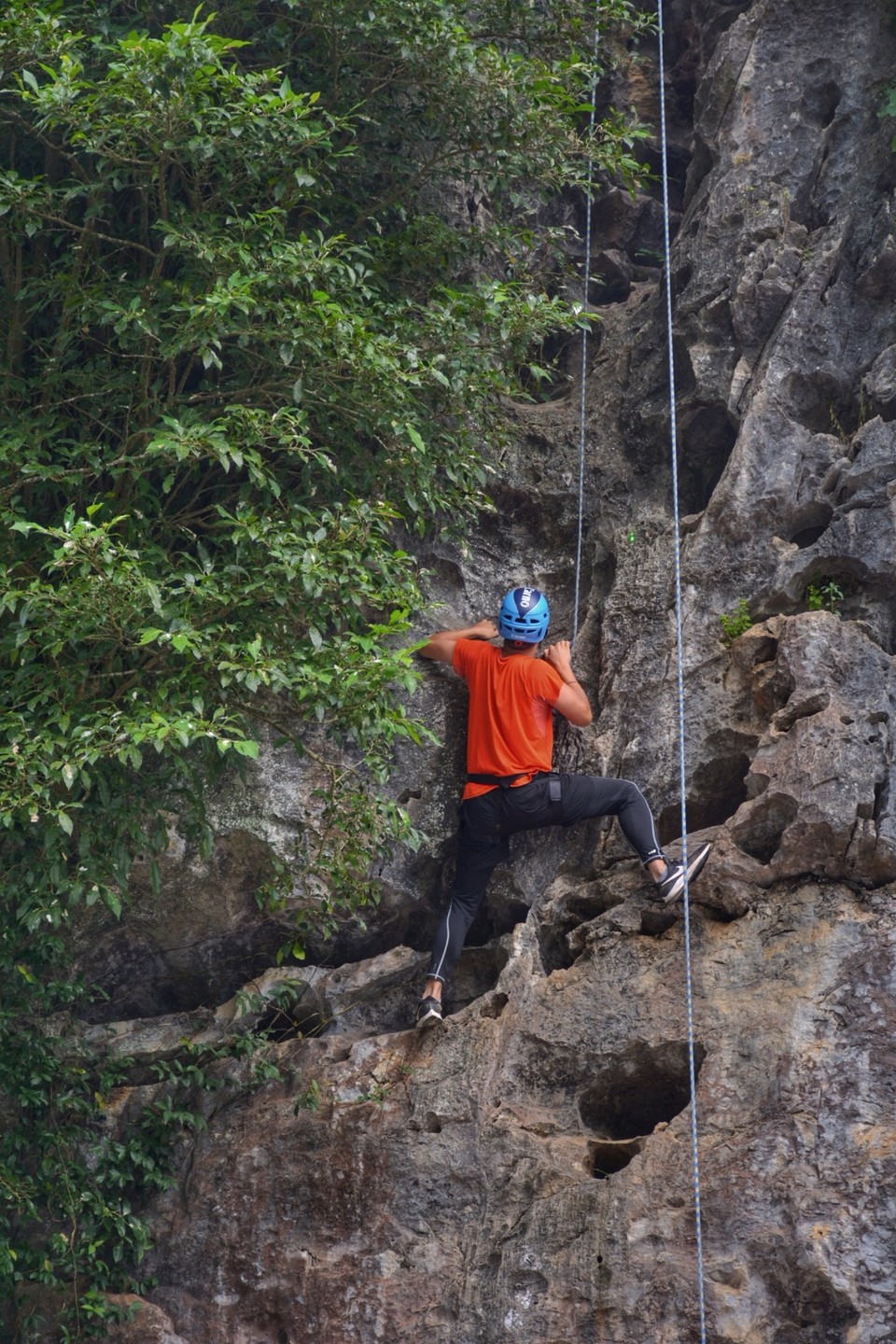 634F880C-2AD6-4F11-8A96-15A57F743851