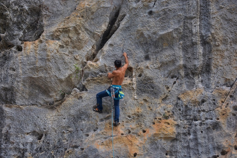 6525A040-6732-436C-B900-A7DC601E6886