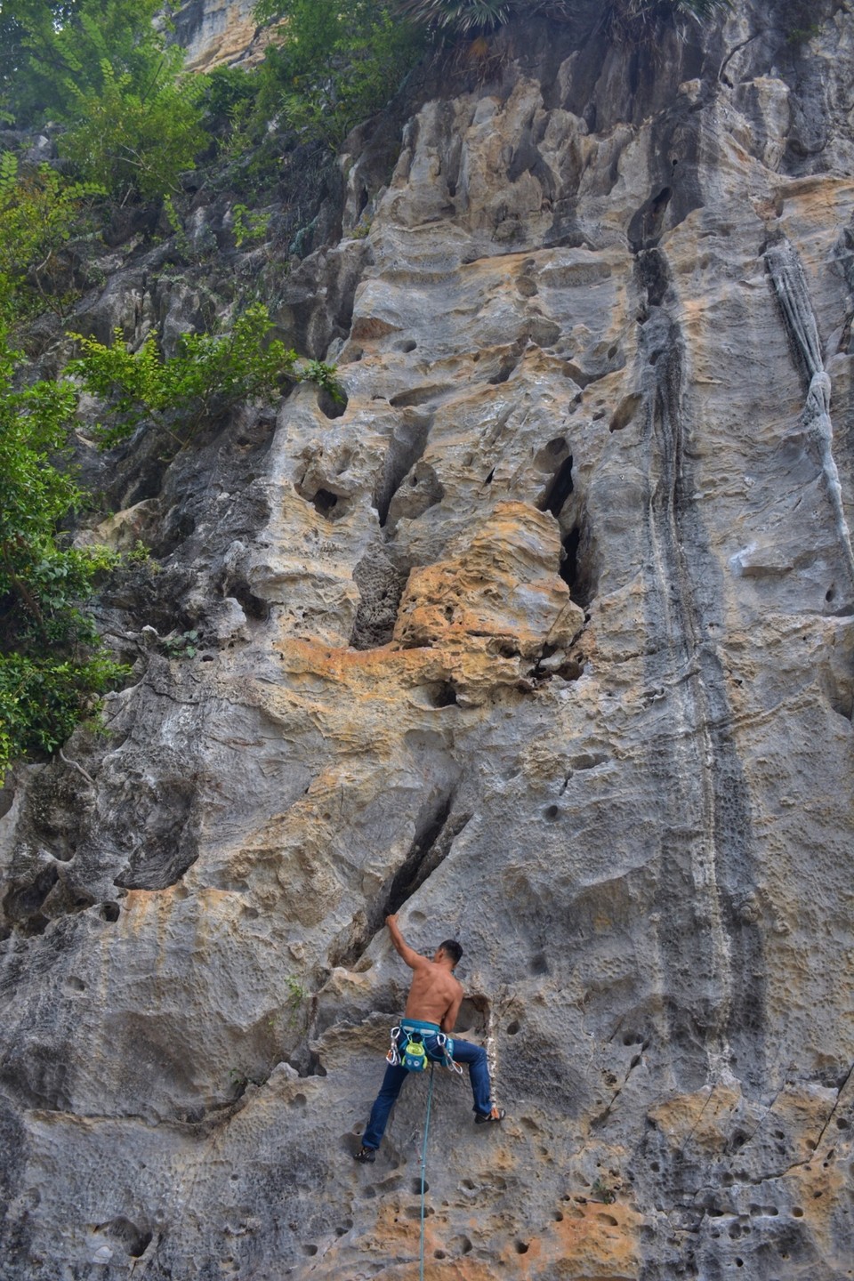 F8AF3253-562E-4783-B0EE-713259568158