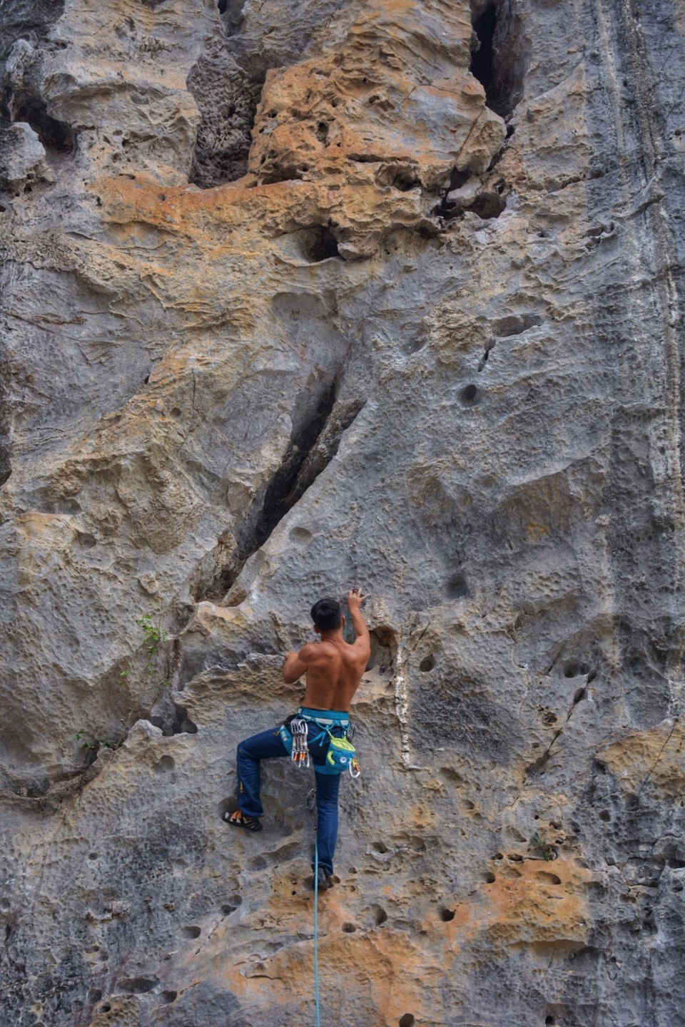 A5139212-F2A2-4274-932B-E5742AB7A75D