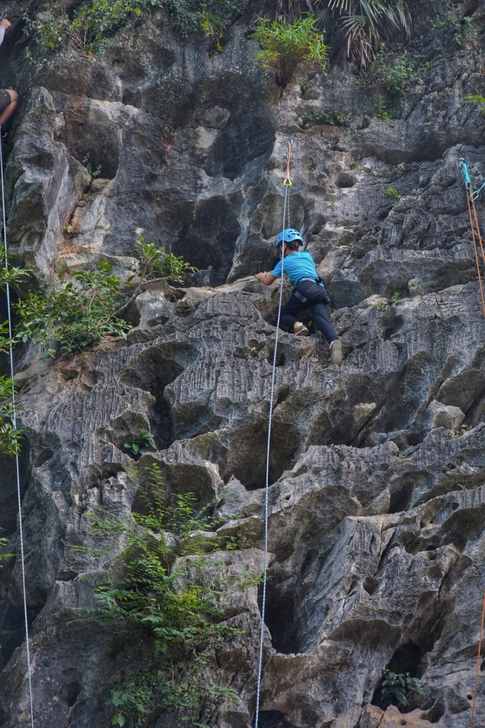 7809F0B1-5731-47A1-9010-4C8DD64233E8