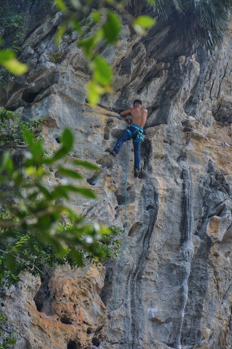 816ED80F-2B39-4F45-B9BD-DFAA0D5AE171