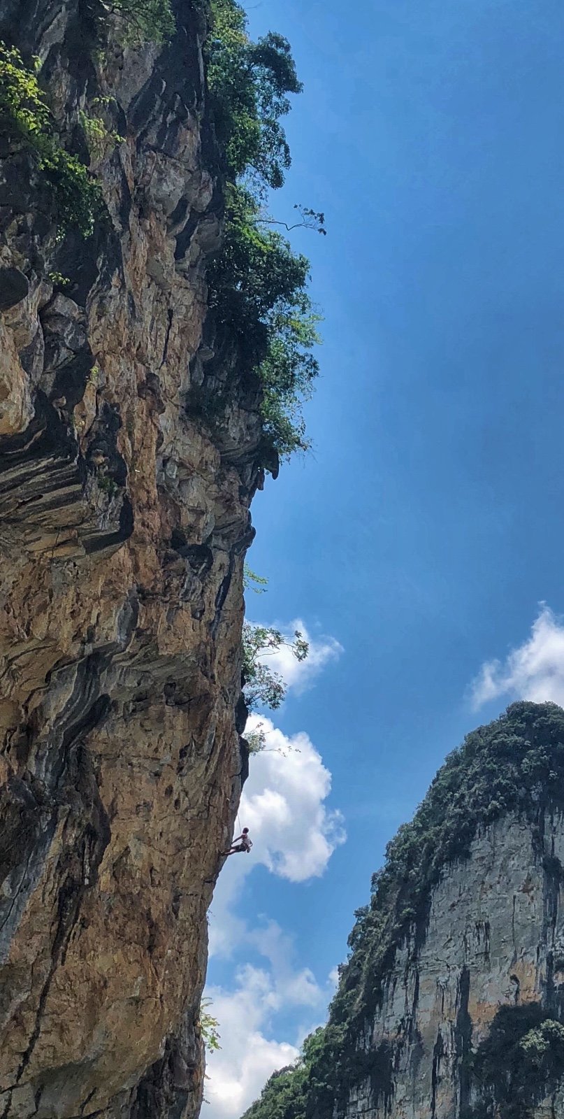 E1BA6D80-11E1-46C5-8261-37A219473837