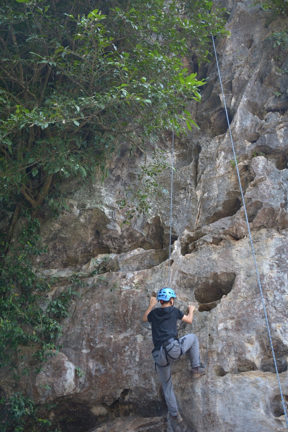 C280BC30-A84F-42AE-8992-322EB84EC0D5