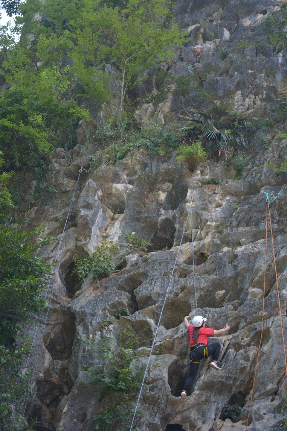 6291FB6B-DEF6-4DD0-B648-3C8B067990F2