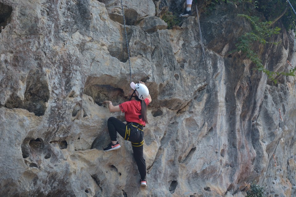 D214FD0F-3E77-400A-8F75-BBDD4847B21E