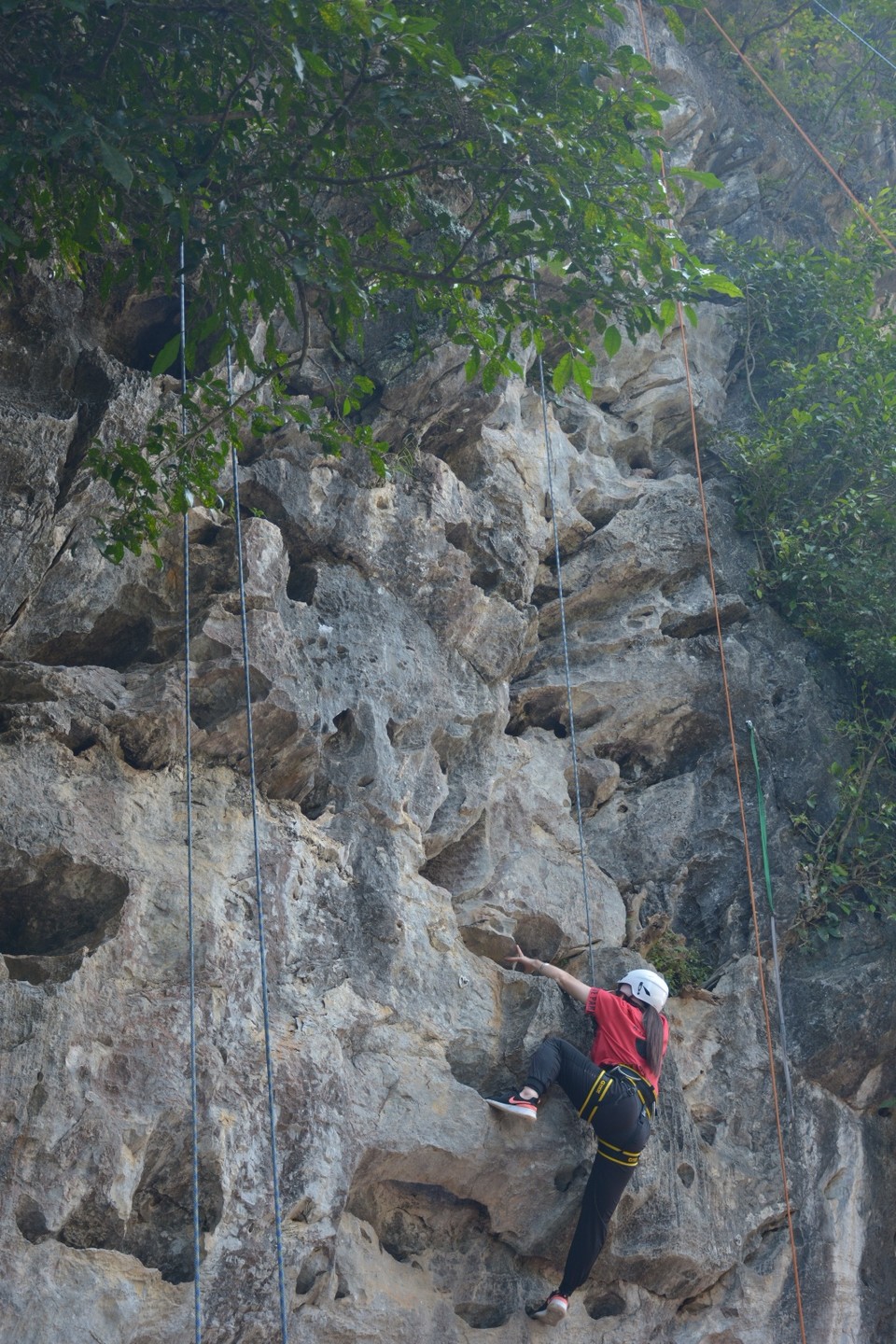 9991448F-FD3E-43ED-8616-EA8F310A2849