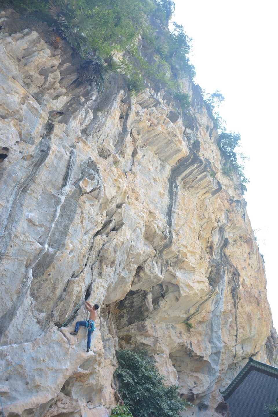 02CE071F-5B24-4788-954F-0FED10977A42