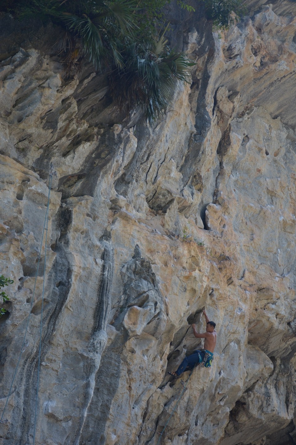 A9289BBB-1EFB-4528-B0B9-7D4D60182636