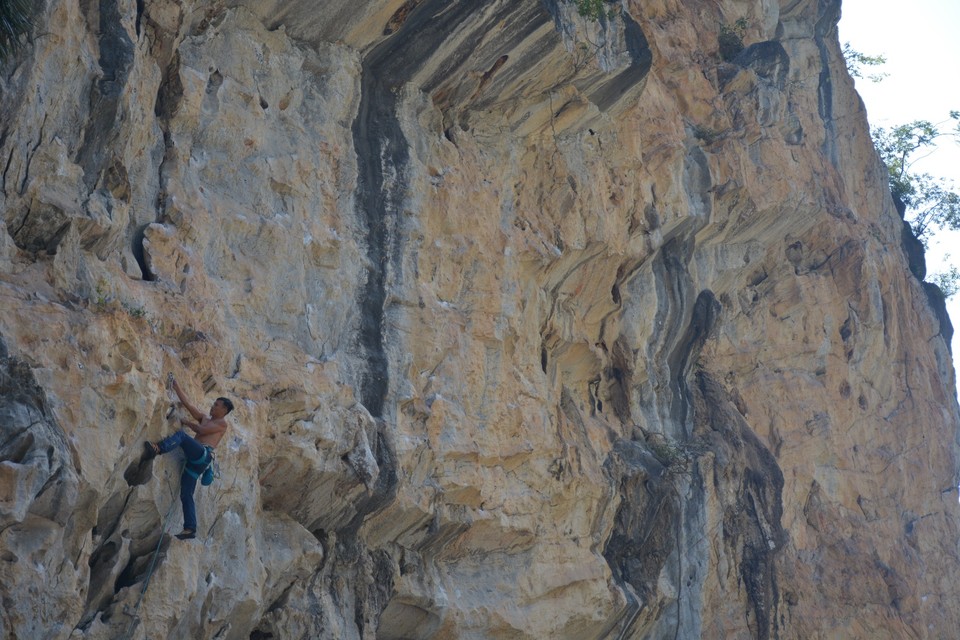 3C9A6B39-AF27-4393-BCD6-C3355C1359A7