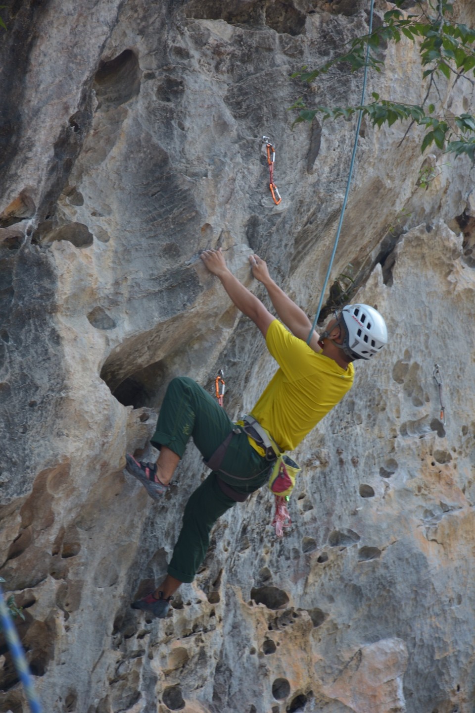 F9FD4051-0286-463B-AA8F-157A45E5ADBC