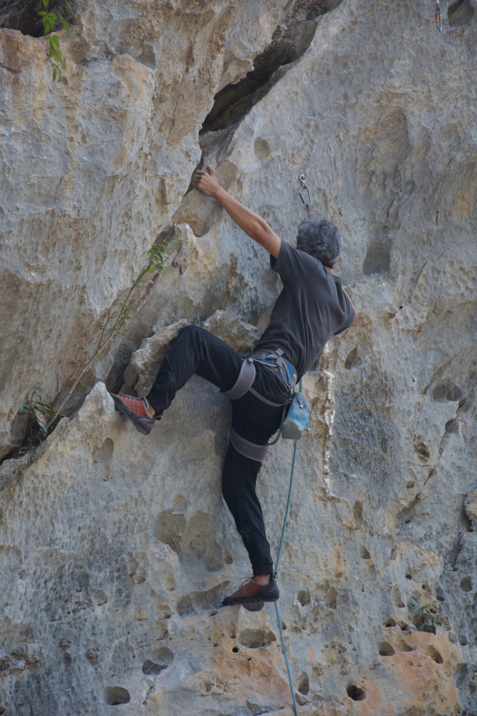 946E37AA-8799-4B34-9341-EE470E5C16B9