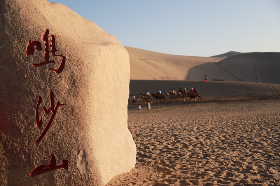 ABB595BE-5068-467E-A6CC-DC165D7500BF