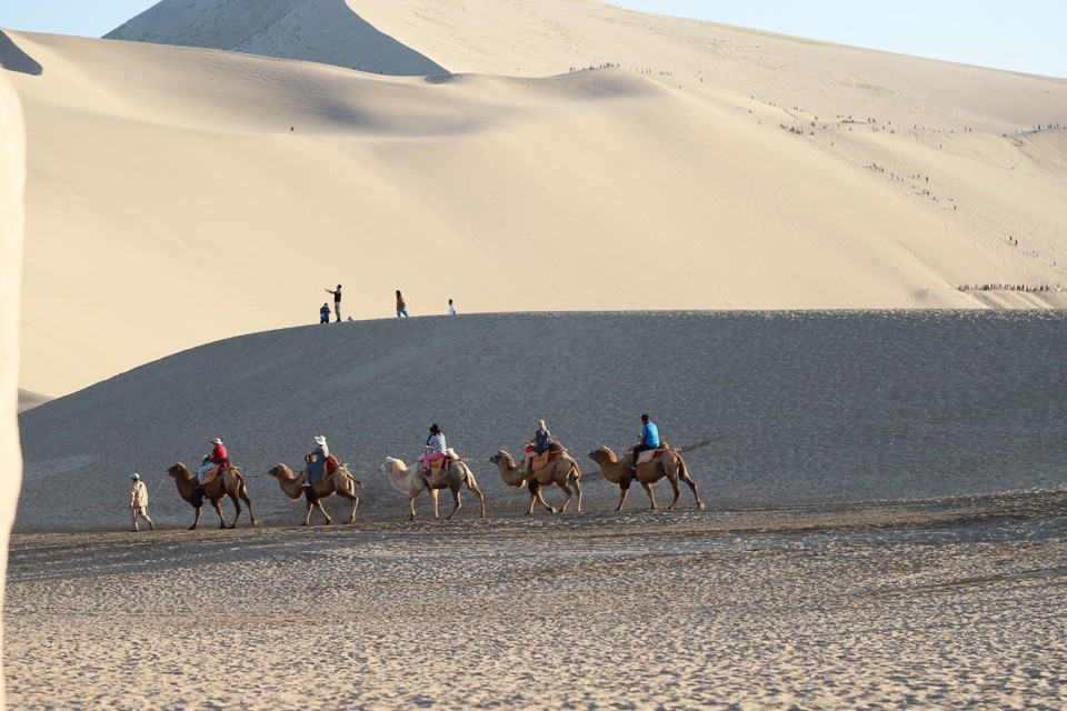 0D86E372-107C-43FF-91FB-3784AF79681E