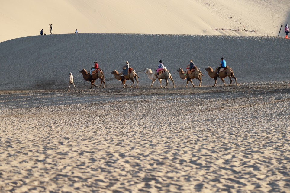 5BDA3236-535C-4806-8FBD-DDFD4A603DA5