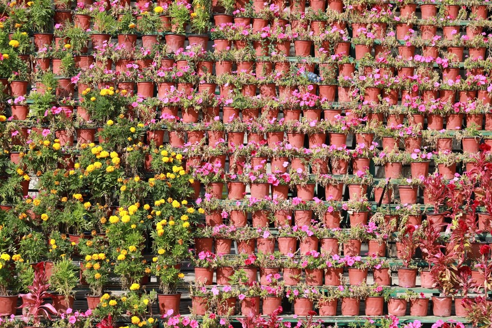 F1E73FC0-6D39-48B8-8D60-77E247A13235