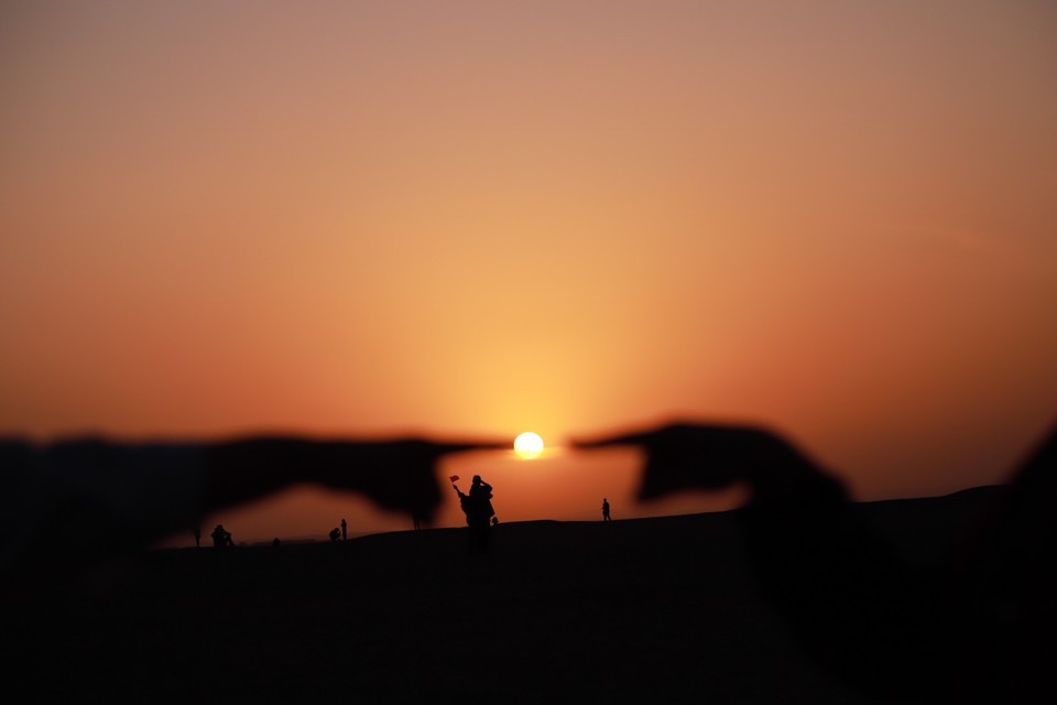 2DEE1A62-20BF-4CA2-88BB-27DB66039C0B