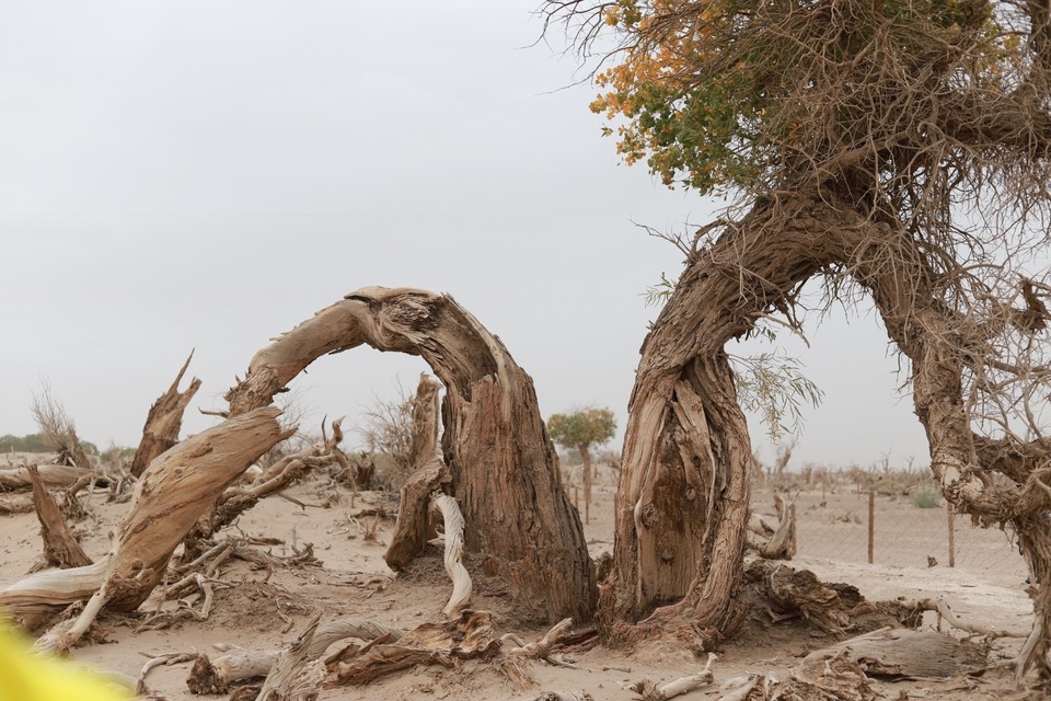 249D9AD3-22F4-4827-9A80-AE7332F4835C