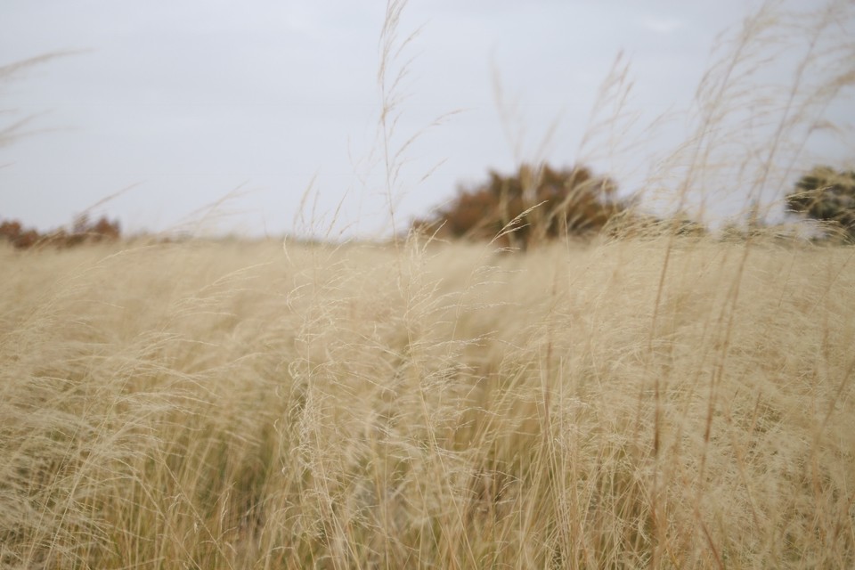 3D80B629-9BD8-4DA5-BC6B-CB23DDC2D811