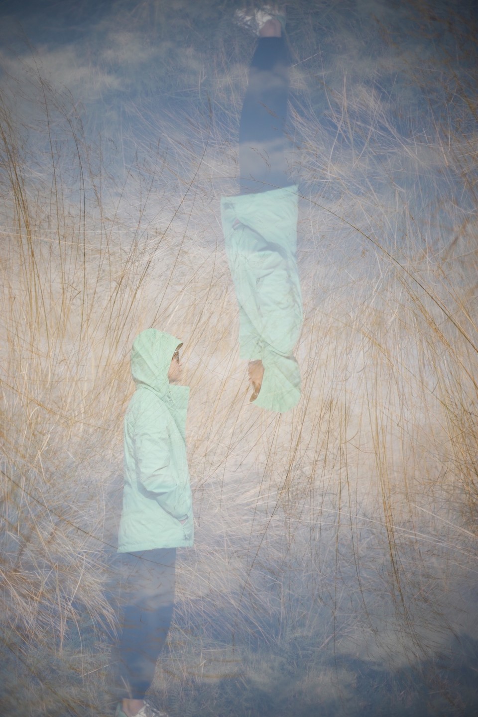 D42A6FA5-BA0B-4303-8098-3ECADC365D83