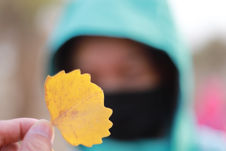 0558454A-BCF0-4E42-B334-3B86F43B2F72