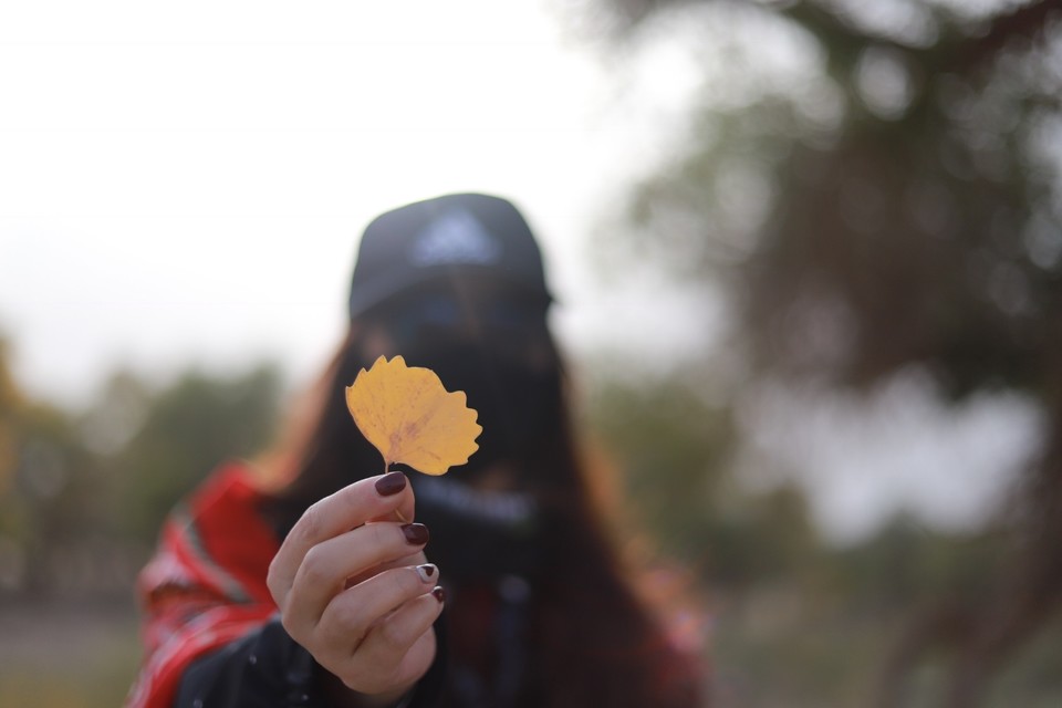 96A88C38-DEC8-4124-89F3-BE8978AF7984