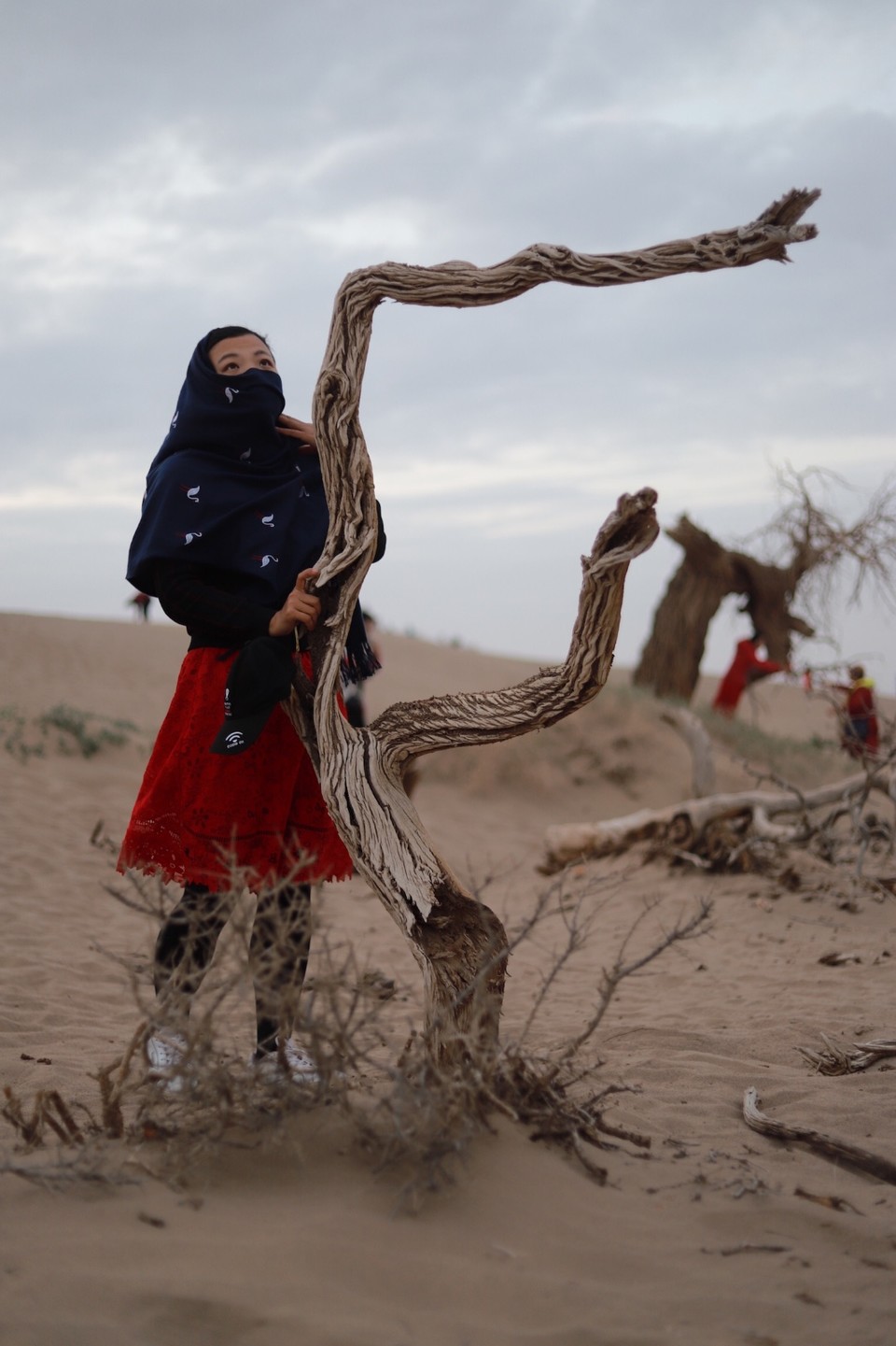 7BA85C48-10D4-4613-B528-F621CB86FC18