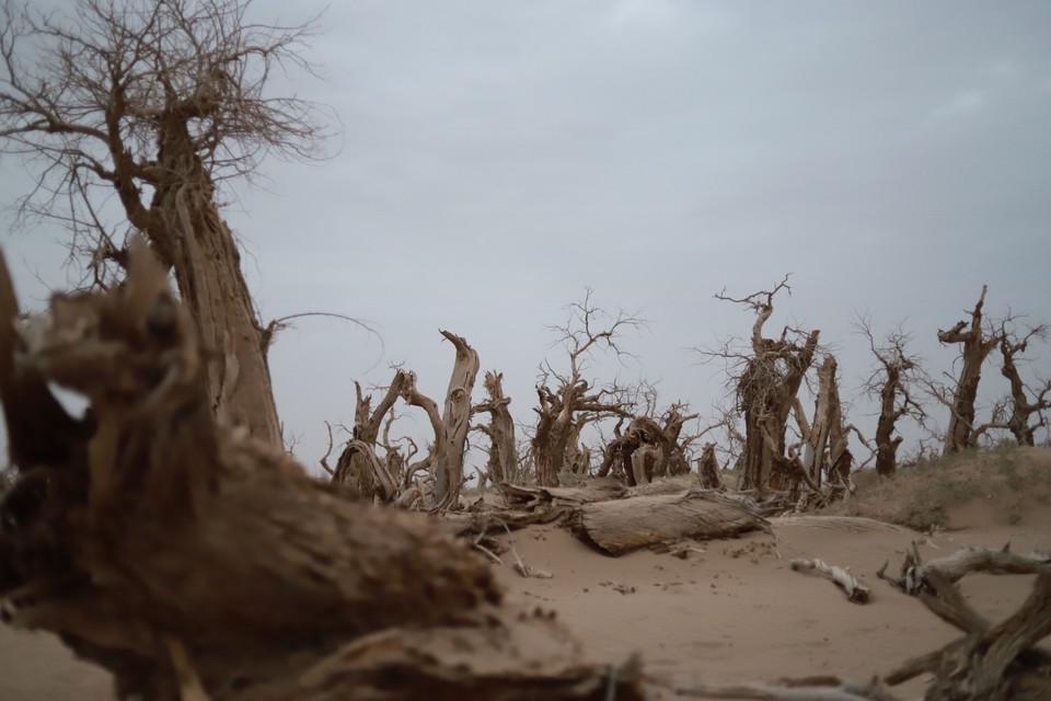 9348C8AA-3EFD-4A3A-AD45-C8CD351E951B