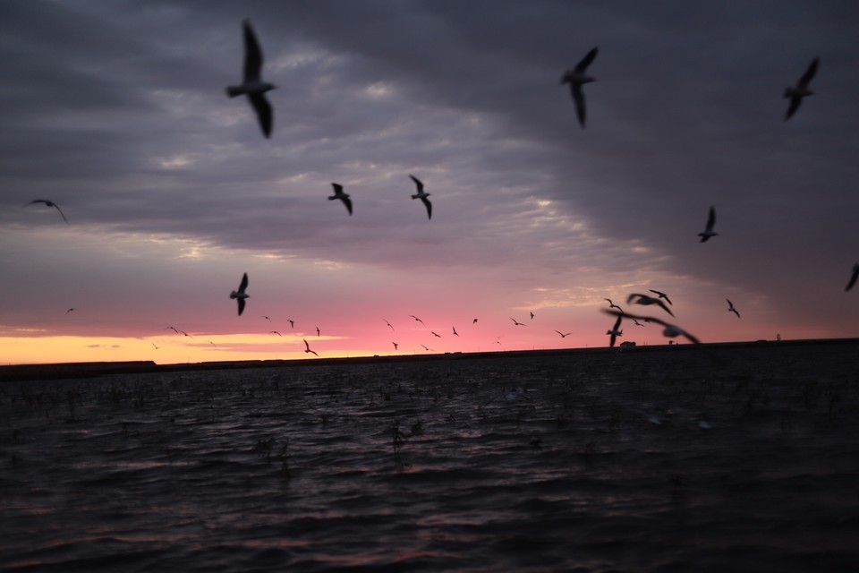 21DDC27F-A36D-4579-9E79-2D304F4CA72C