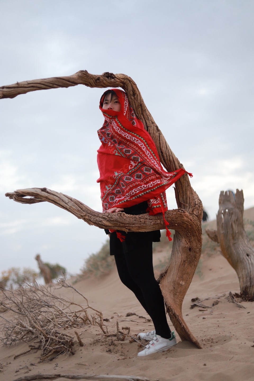 FDB5A354-4C0F-422E-B308-6B15565C895D