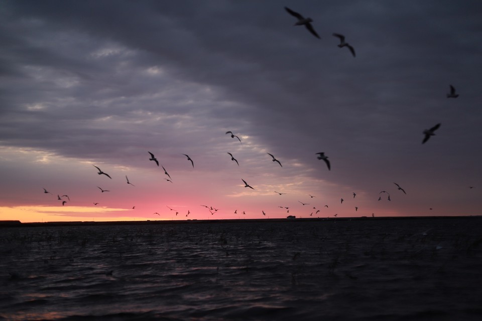 0761DAA9-E78A-419B-83D8-D2635B5E6C4D