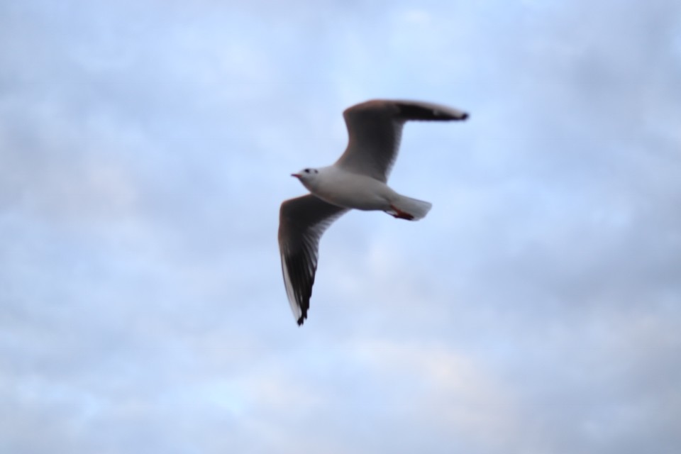 14F2D44D-EB02-4900-840F-621F98EF1558