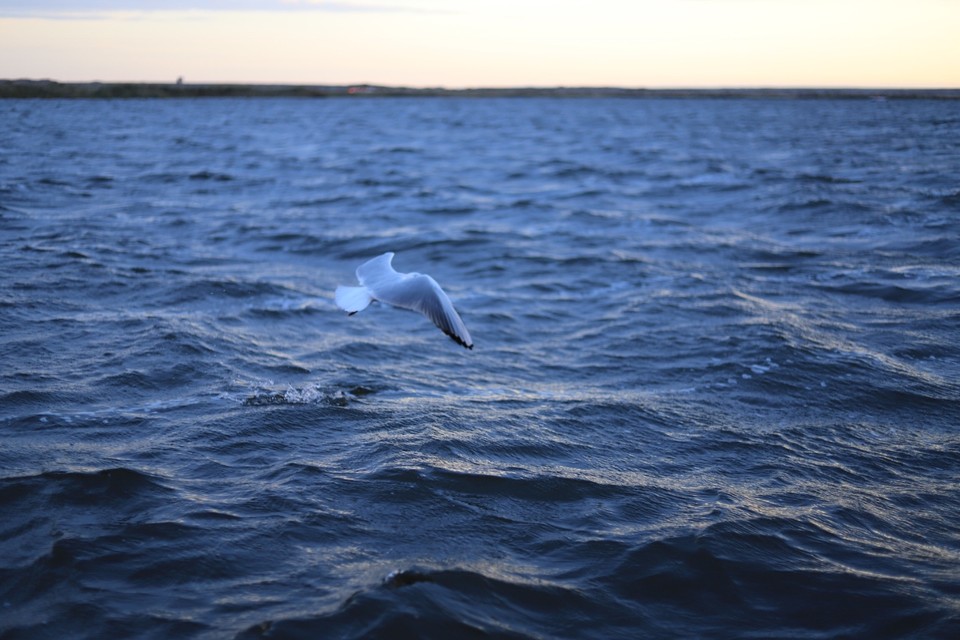 E21F361C-5B31-4751-AA13-082BA6DA654D