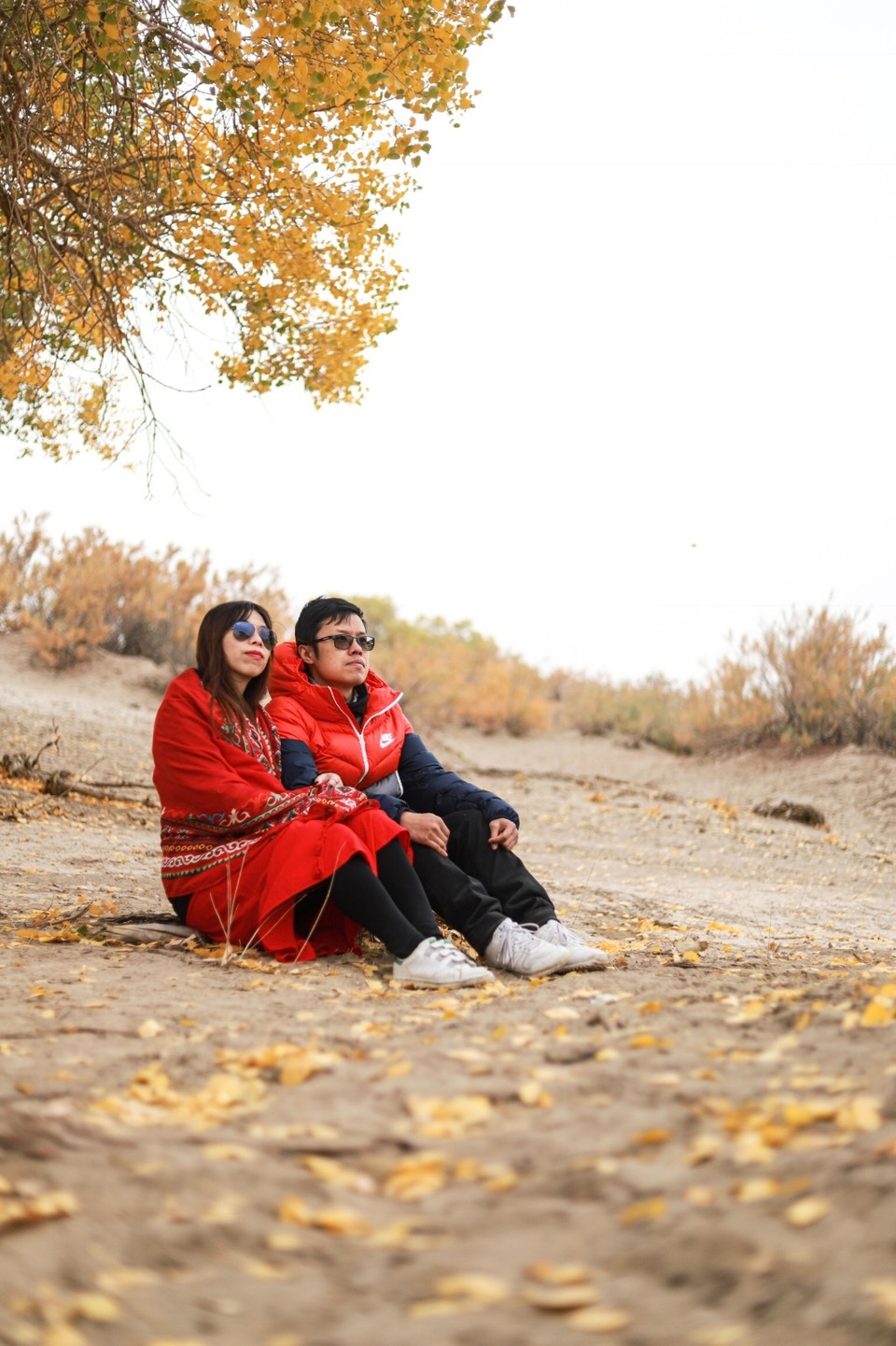 D52E37D7-69B3-4184-B7C2-C503365746BD