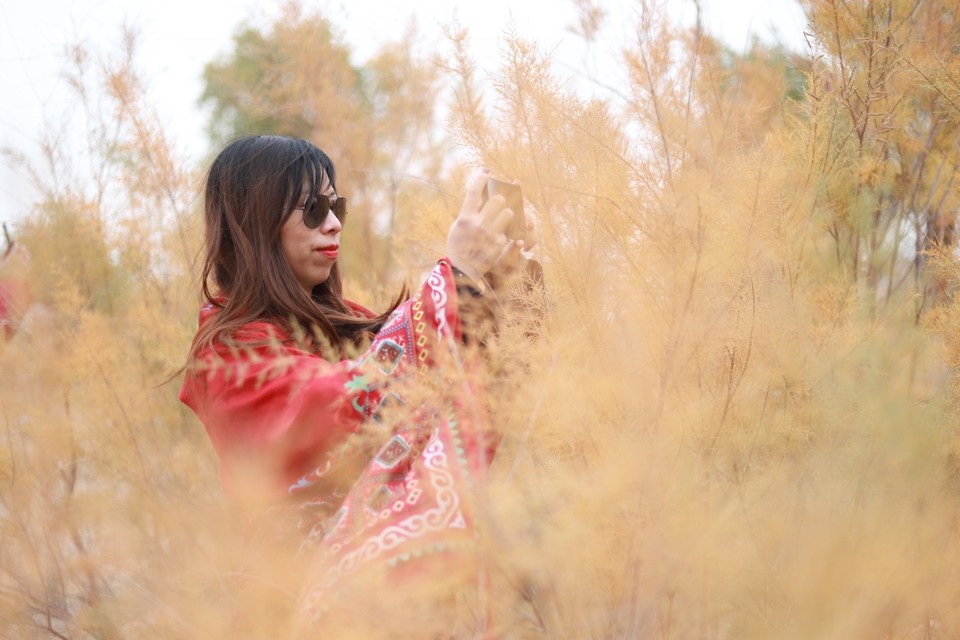 24F4BEE0-F349-4502-AA1C-2B679C5B4CA0