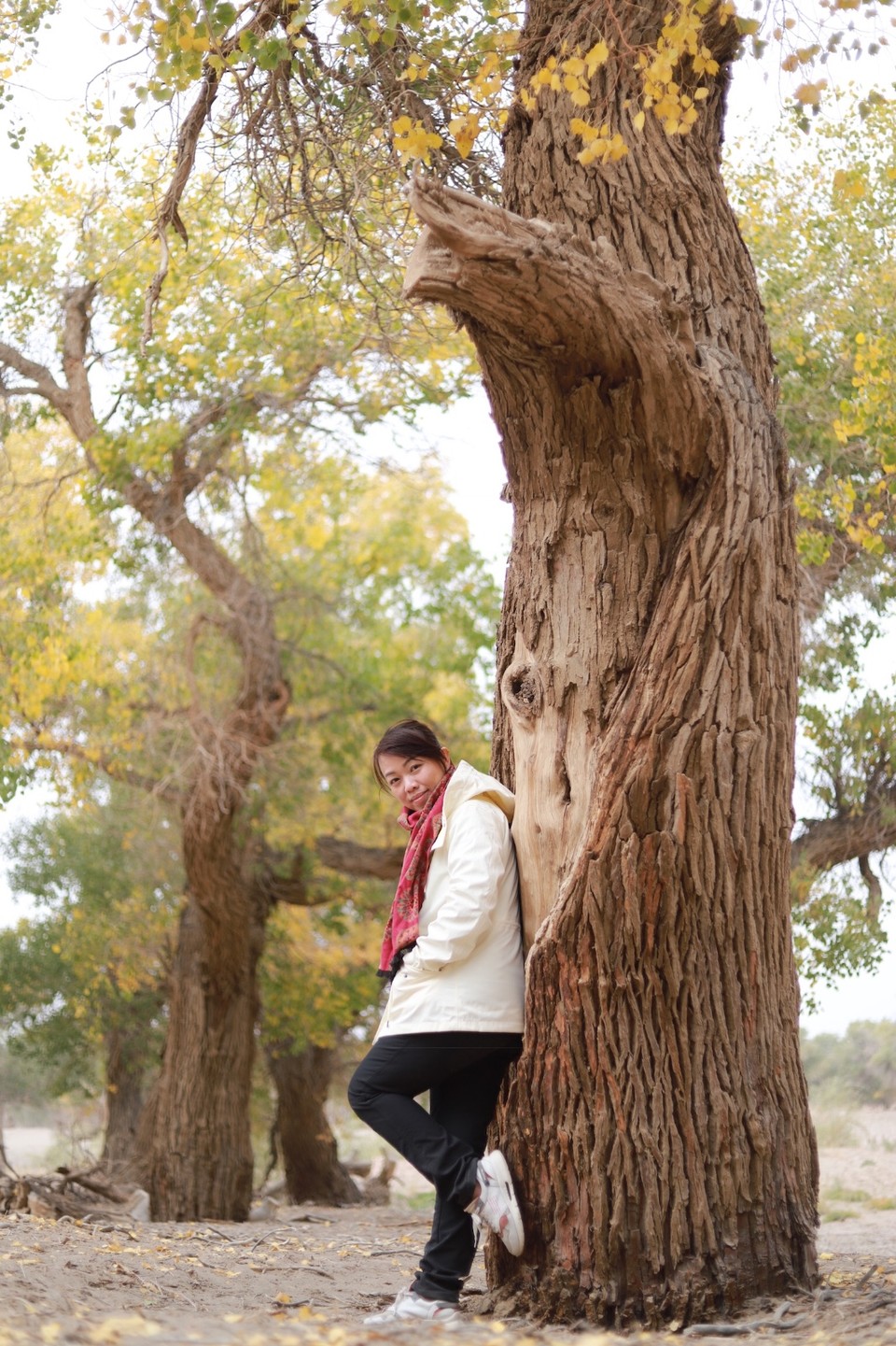 2CB808FD-C098-4AEF-A992-A6B4966B27B0