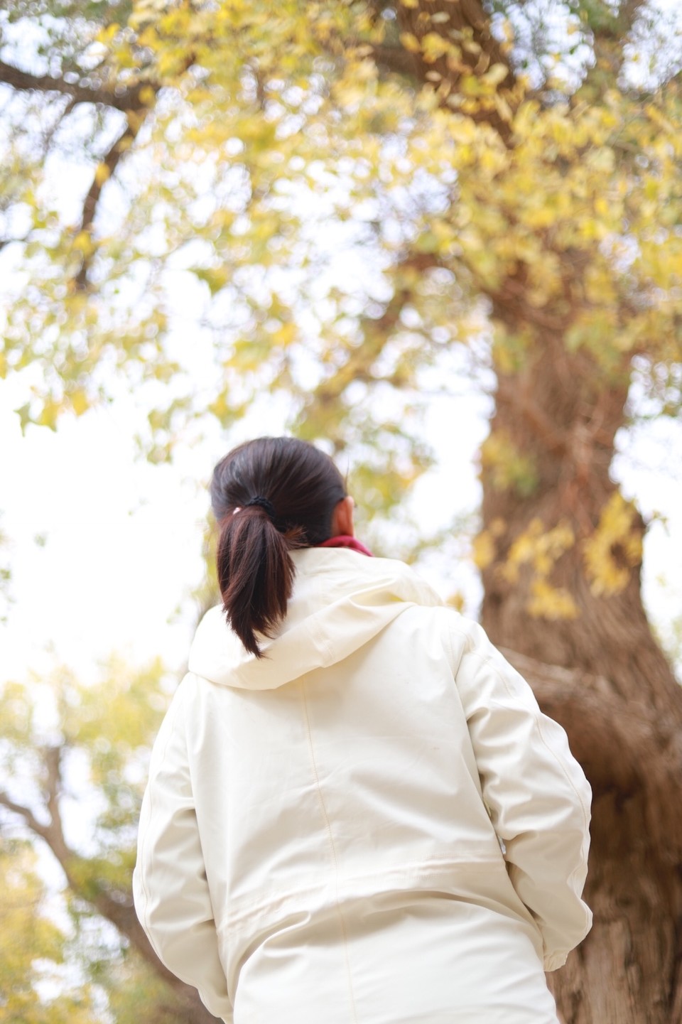 62B8D328-3FDE-4236-8912-BD7851502B6C