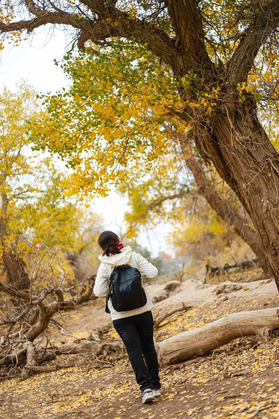 F568F864-4C89-457C-81FD-C3A6EA409E5C