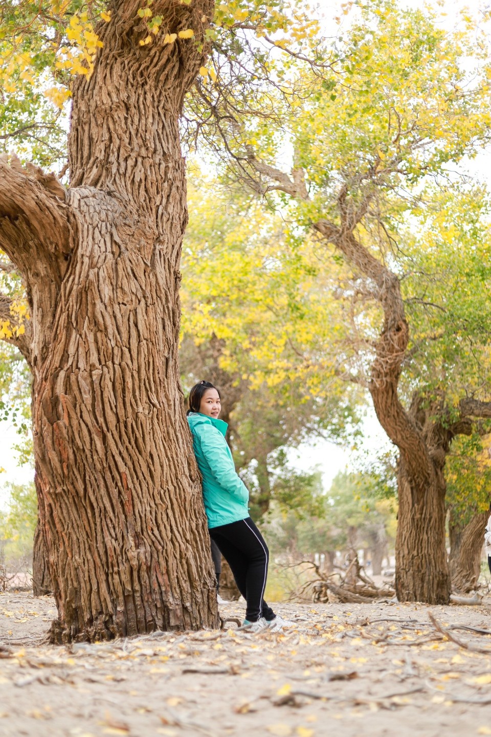 58DD6E31-1E1F-4F85-9597-DE6C29668668