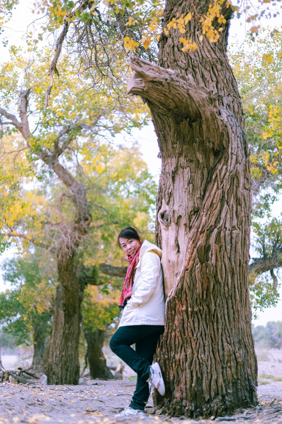 784CF200-6DE2-4D78-AA43-49A47354D399