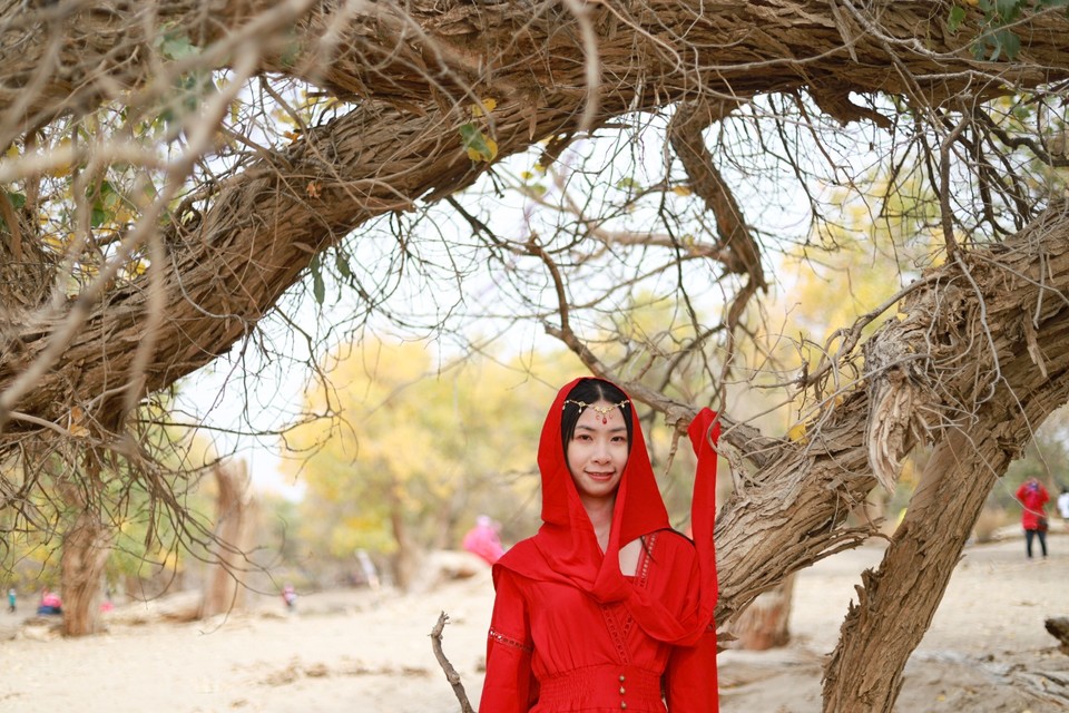 64260479-9F86-4432-B40D-084F1BCA2CA5