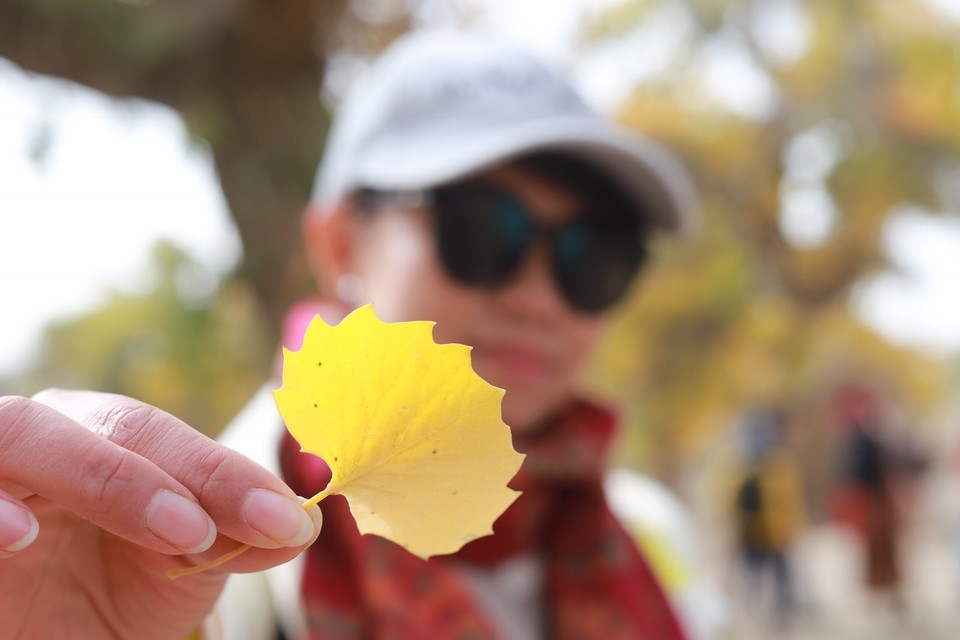 9FFA15C6-AE15-4740-A475-84A14D04A586