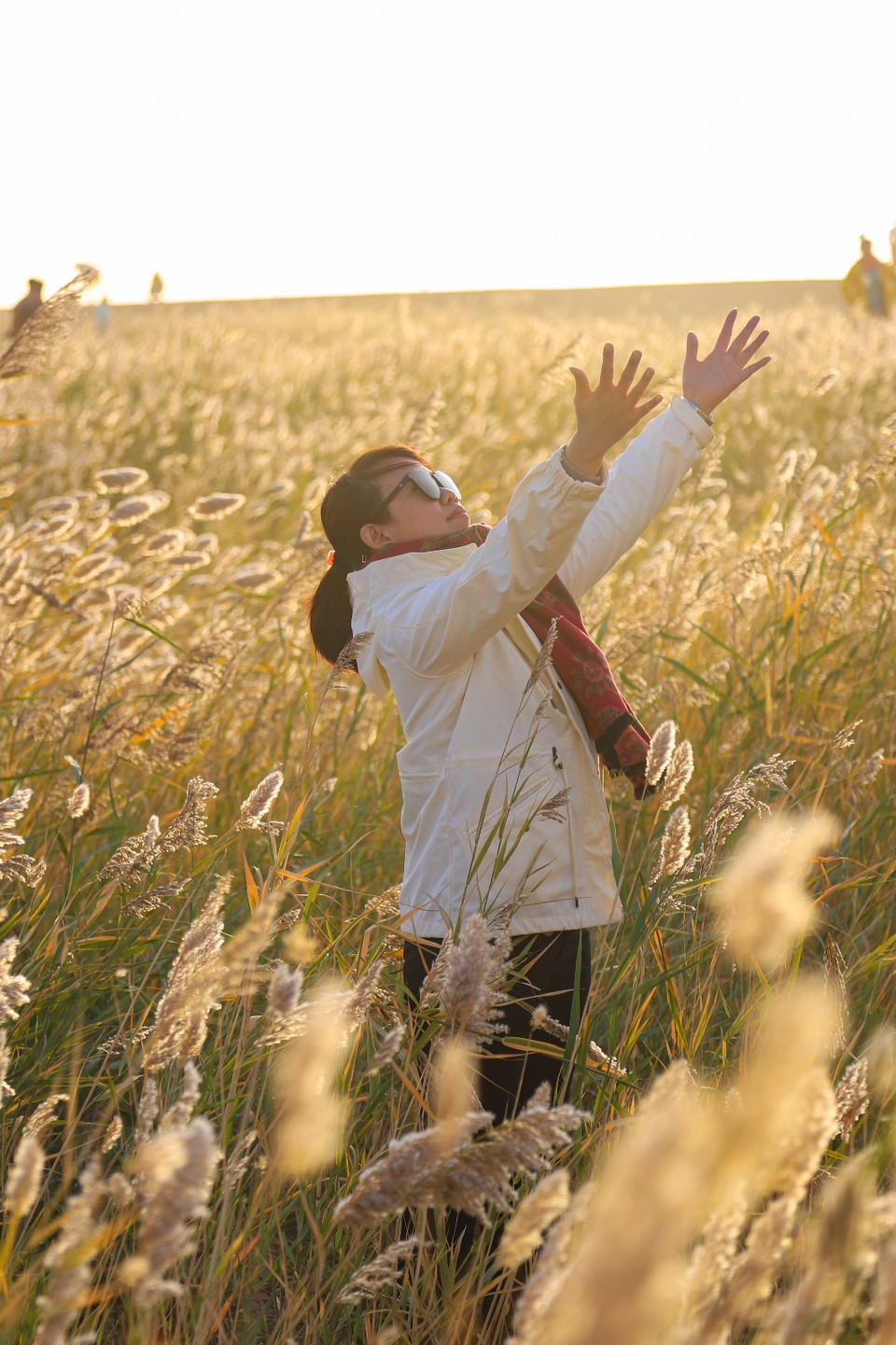 1C0DCDDA-A457-4DB8-9A3C-BC994D74FC64