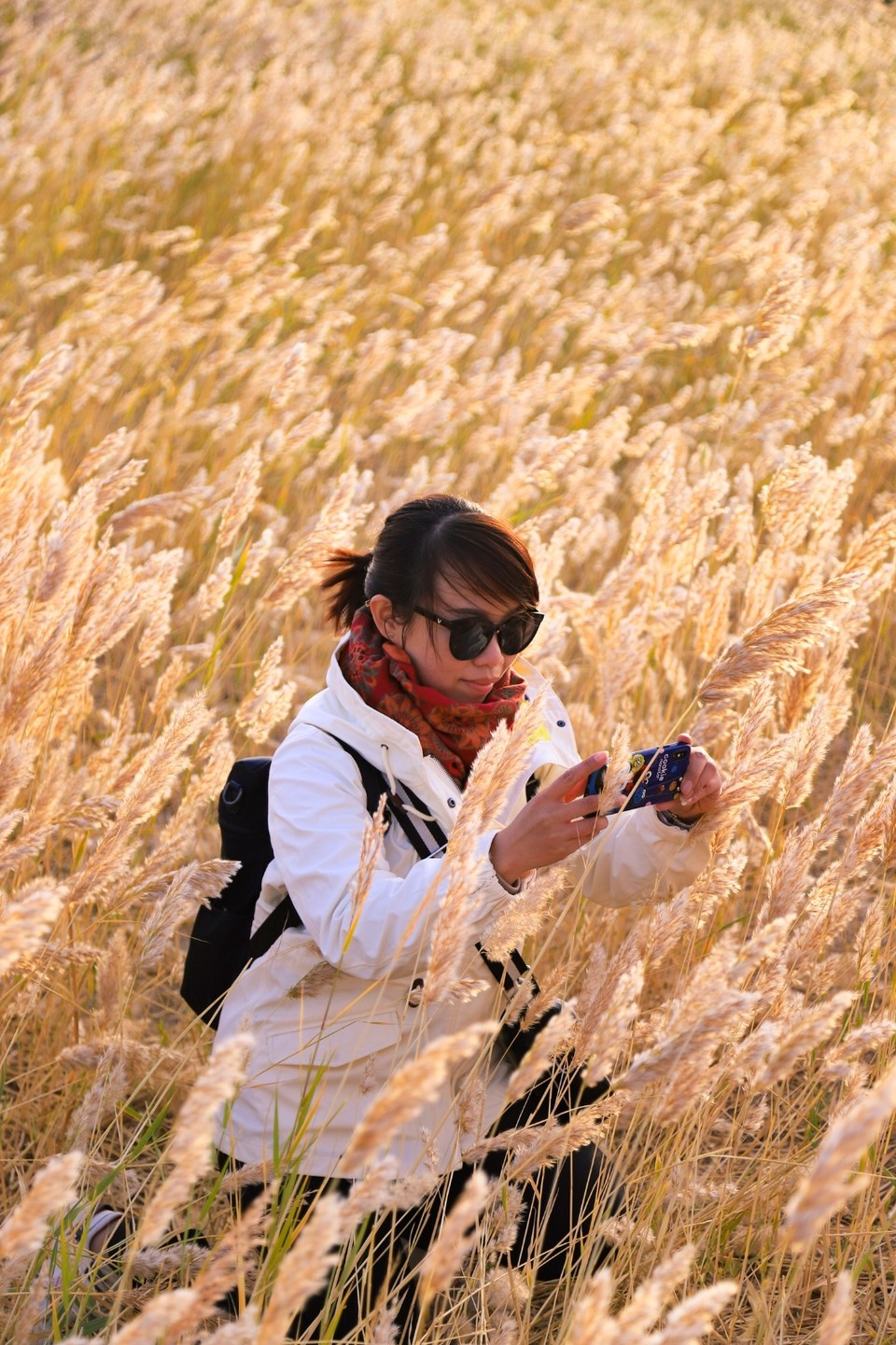 3CB6A628-B406-42F7-B089-B57859A08C11