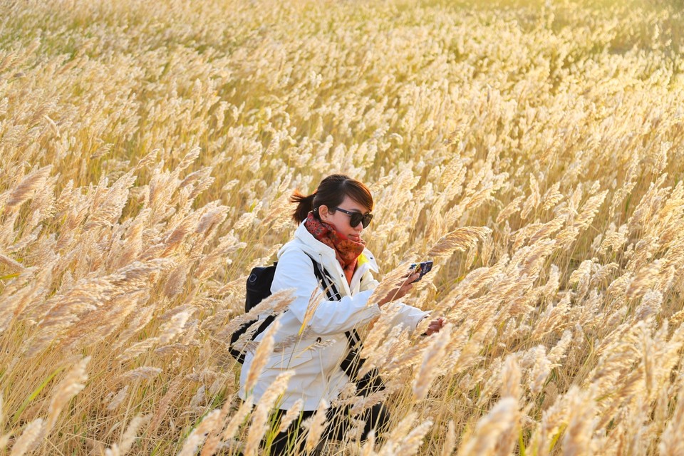 7D0FCC6F-7BFE-4A3E-A664-DC3CE253EE1E