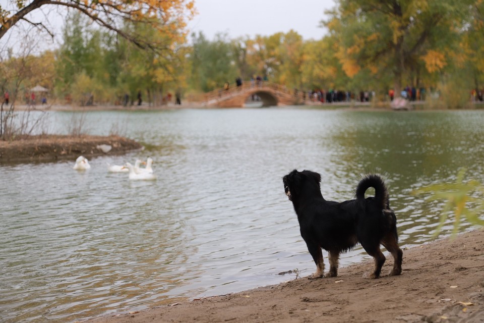 46AADEA7-ABBD-4A09-9A78-0329BE283C3A