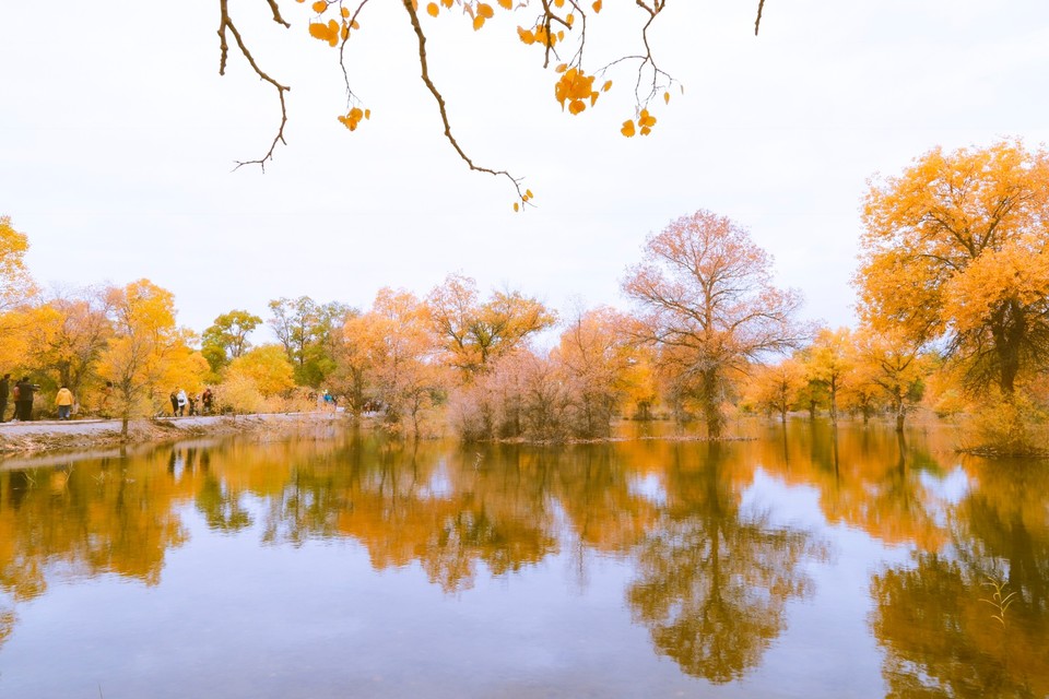 9B3B8A1C-0C02-4FB4-B9F8-01B1AD1F252E